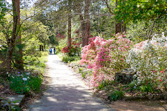 Coker Arboretum