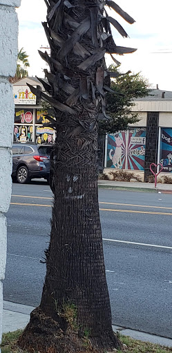 Car Wash «Bixby Knolls Car Wash», reviews and photos, 577 E Wardlow Rd, Long Beach, CA 90807, USA