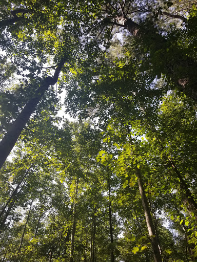 Nature Preserve «Autrey Mill Nature Preserve & Heritage Center», reviews and photos, 9770 Autrey Mill Rd, Johns Creek, GA 30022, USA