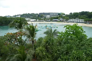 Palawan Island image