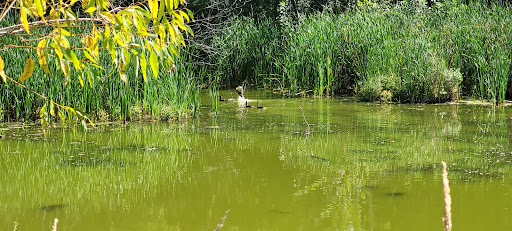 Nature Preserve «Wood Lake Nature Center», reviews and photos, 6710 Lake Shore Dr S, Minneapolis, MN 55423, USA