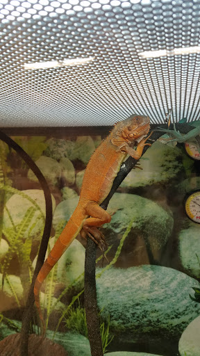 Pet Supply Store «Petco Animal Supplies», reviews and photos, 1080 Washington Square Center, Washington, MO 63090, USA