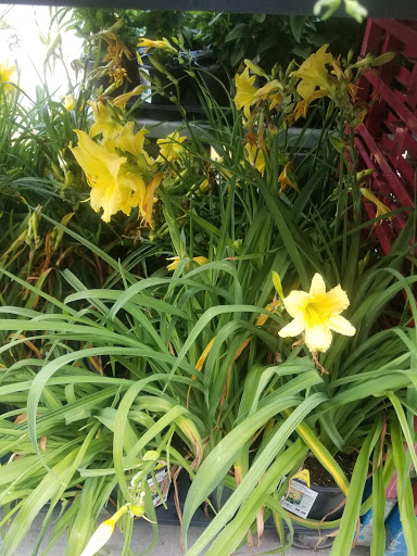 Home Improvement Store «The Home Depot», reviews and photos, 680 Lamar Hutcheson Pkwy, Riverdale, GA 30274, USA