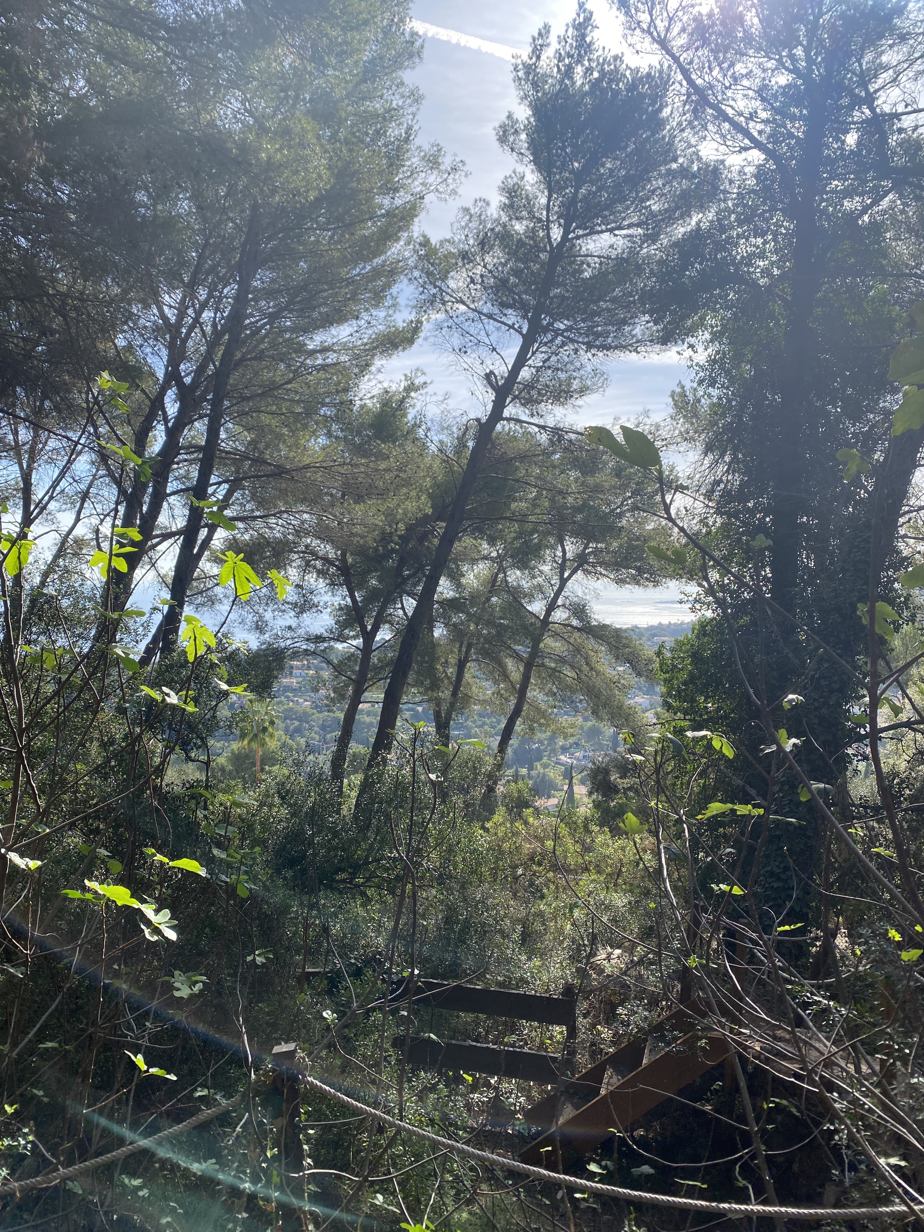 Photo n° 9 de l'avis de Ossian.E fait le 31/10/2022 à 21:10