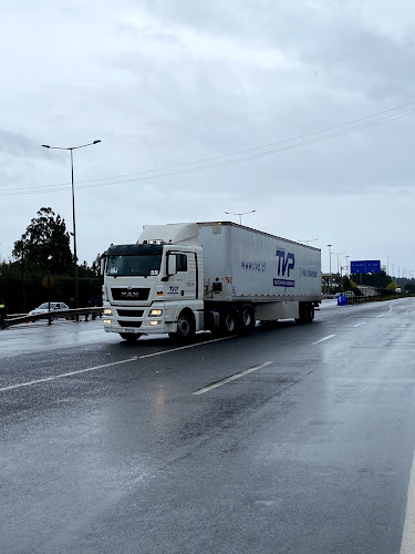 Opiniones de Transportes TVP Temuco en Padre Las Casas - Servicio de transporte