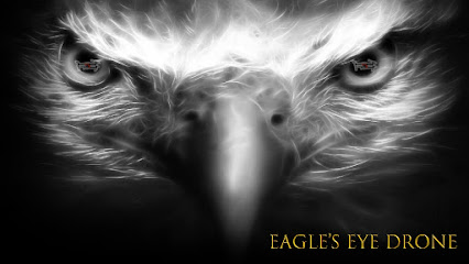 Eagle's Eye Drone