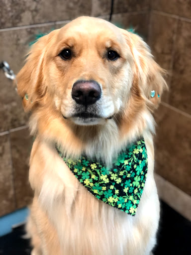 Pet Store «Canine Carousel», reviews and photos, 43135 Broadlands Center Plaza #129, Ashburn, VA 20148, USA