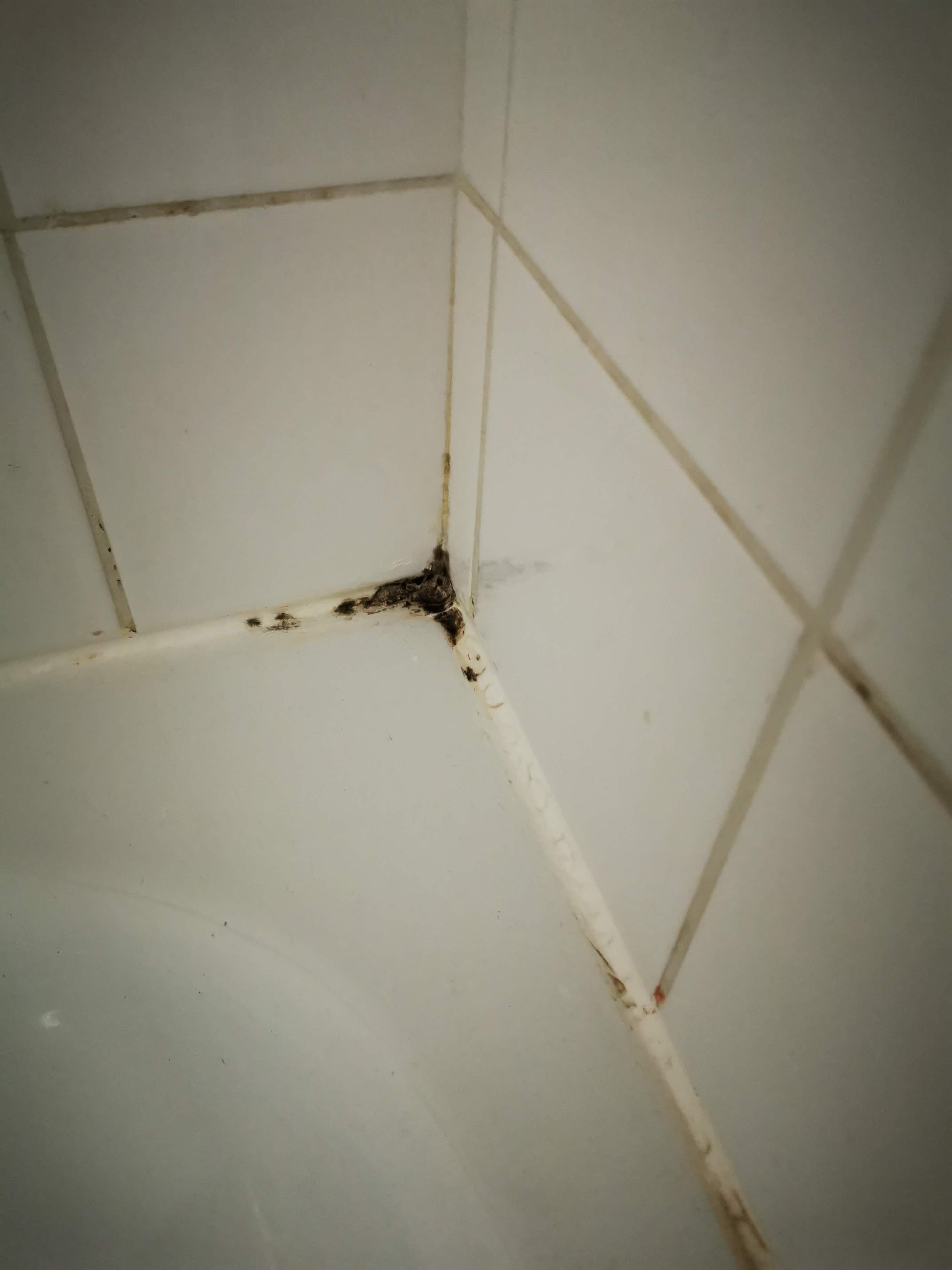 Photo n° 12 de l'avis de Martin.m fait le 10/03/2021 à 11:13