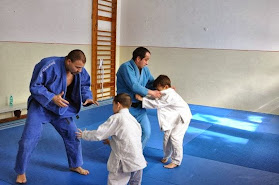 Judo & Ju-Jitsu (Clubul Sportiv Pontica)