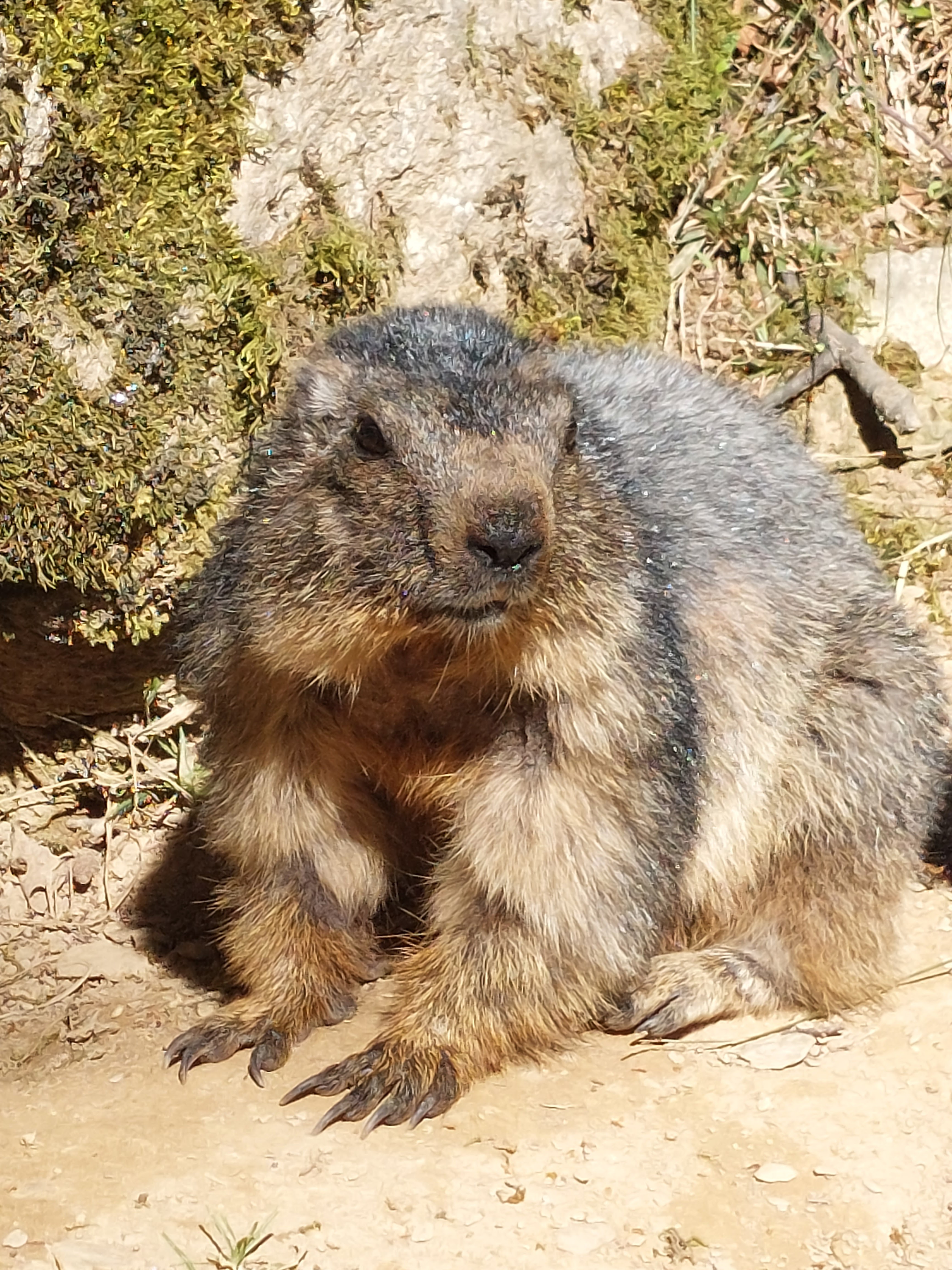 Photo n° 4 de l'avis de Tof.6 fait le 09/08/2023 à 12:26