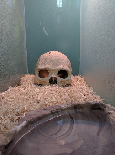 Pet Supply Store «Pet Supplies Plus», reviews and photos, 508 E Stroop Rd, Kettering, OH 45429, USA