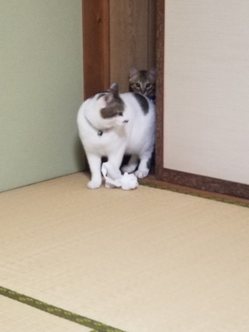 ワークハウスときおか