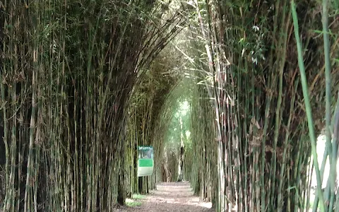El Paraíso del Bambú y La Guadua image