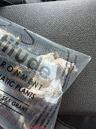 Pet Supply Store «PetSmart», reviews and photos, 1954 Santa Rosa Ave, Santa Rosa, CA 95407, USA