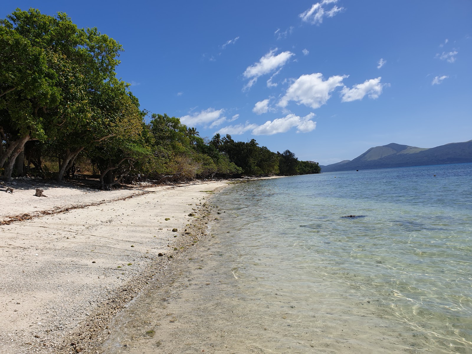 Saint Lawrence Beach'in fotoğrafı çok temiz temizlik seviyesi ile