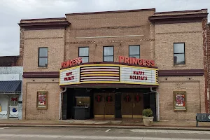 The Princess Theatre image