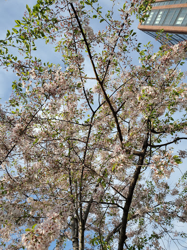 Park «Van Der Donck Park», reviews and photos, 41 Dock St, Yonkers, NY 10701, USA