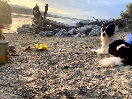 Animal Hospital «Hardaway Veterinary Hospital», reviews and photos, 5650 Jackrabbit Ln, Belgrade, MT 59714, USA