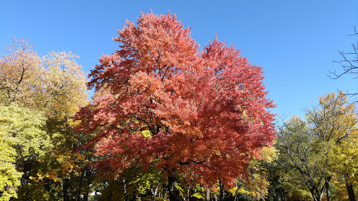 Zoo «Seneca Park Zoo», reviews and photos, 2222 St. Paul Street, Rochester, NY 14621, USA