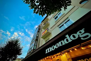 Café- Jazz Moondog image