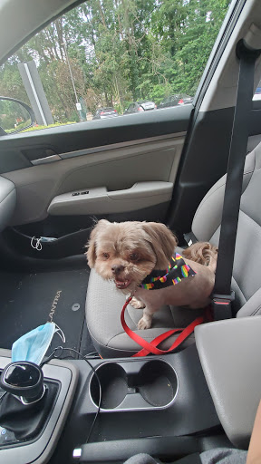 Pet Supply Store «PetSmart», reviews and photos, 13337 Worth Ave, Woodbridge, VA 22192, USA