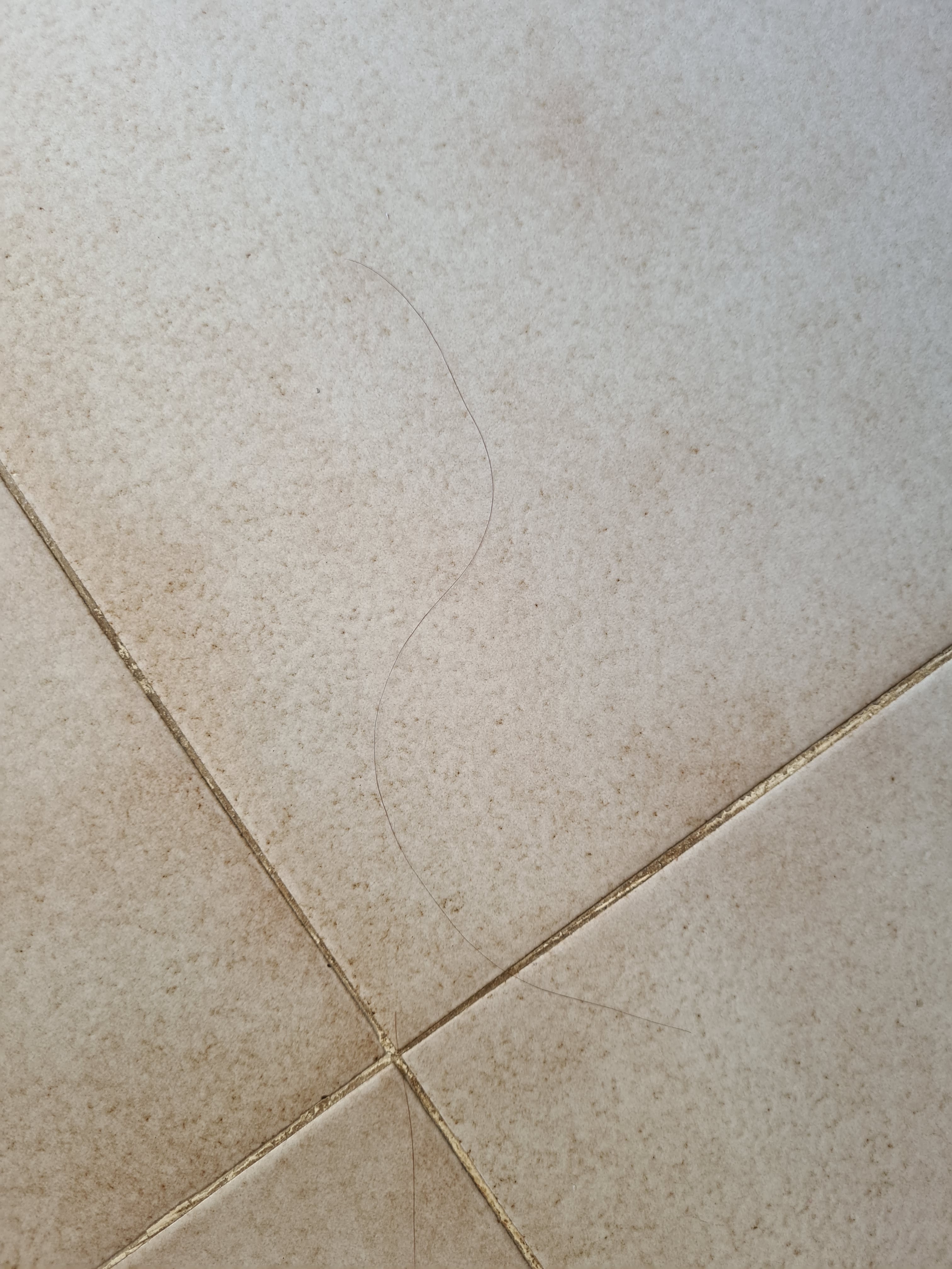 Photo n° 7 de l'avis de Stéphane.' fait le 26/09/2022 à 19:53