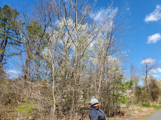 Park «Gough Park», reviews and photos, 9300 Honeygo Blvd, Perry Hall, MD 21128, USA