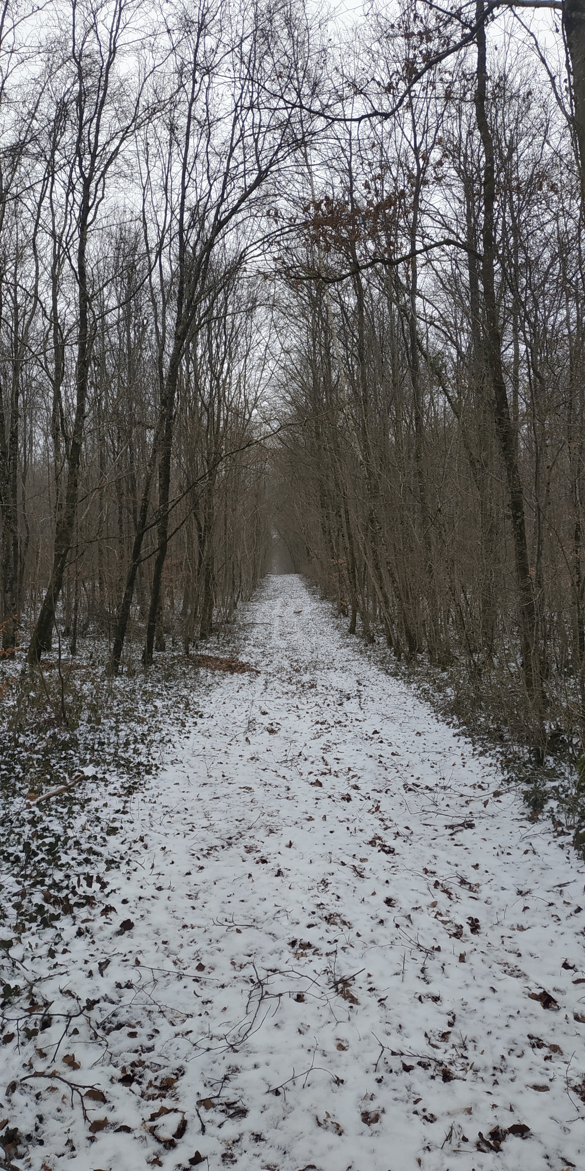 Photo n° 2 de l'avis de Marcel.a fait le 12/01/2024 à 18:10
