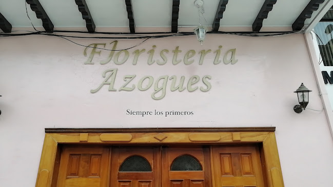 Opiniones de Floreria Azogues en Azogues - Floristería