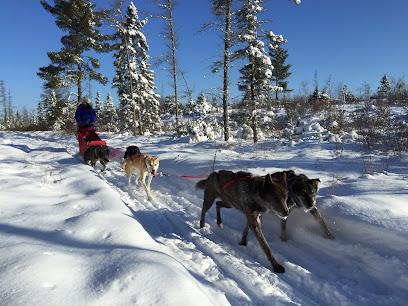 Chilly Dogs Sled Dog Trips