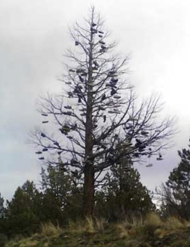 Shoe Tree