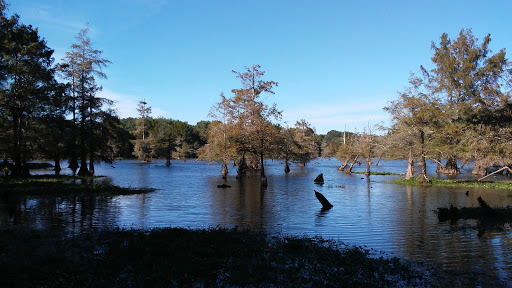 Park «Leake County Water Park», reviews and photos, 1190 Park Rd, Lena, MS 39094, USA