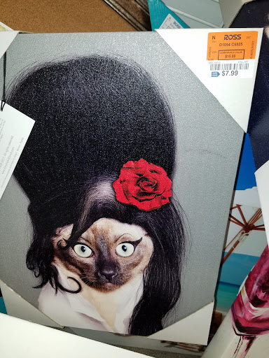 Clothing Store «Ross Dress for Less», reviews and photos, 205 Ken Pratt Blvd, Longmont, CO 80501, USA