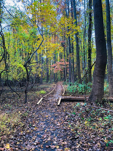 Nature Preserve «Rancocas Nature Center», reviews and photos, 794 Rancocas Mt Holly Rd, Westampton, NJ 08060, USA