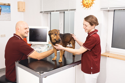 Veterinarian Dr. Roman Mikus unter Rosenheim, Bayern