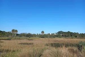 Yamato Scrub Natural Area image