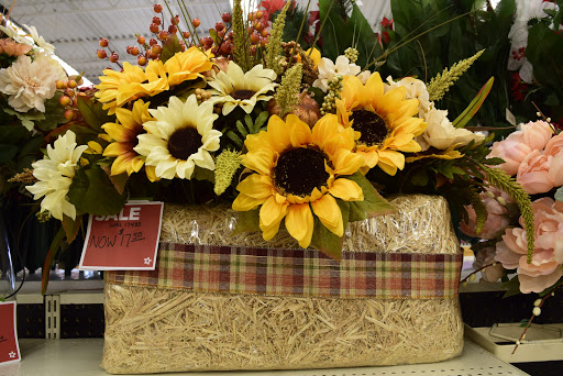 Craft Store «A.C. Moore Arts and Crafts», reviews and photos, 12013 Rockville Pike, Rockville, MD 20852, USA