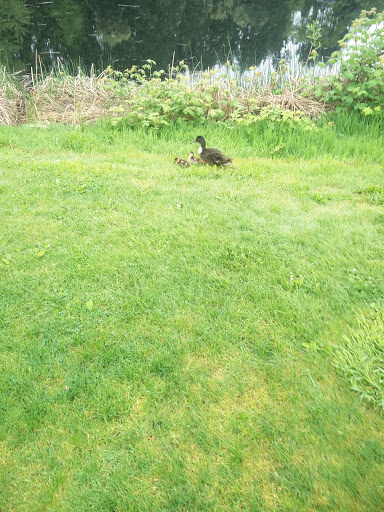 Park «Jackson Park Golf Course», reviews and photos, 1000 NE 135th St, Seattle, WA 98125, USA