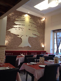 Atmosphère du Restaurant libanais Chez Farhat à Paris - n°11