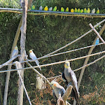 Photo n° 3 de l'avis de Soréo.a fait le 27/08/2022 à 12:20 pour Spaycific Zoo à Spay