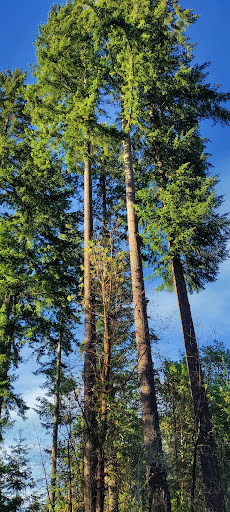 Community Center «South Bellevue Community Center», reviews and photos, 14509 SE Newport Way, Bellevue, WA 98006, USA