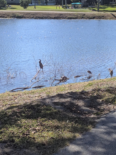 Golf Club «Moccasin Wallow Golf Club. The MOC Bar and Grill», reviews and photos, 9680 Buffalo Rd, Palmetto, FL 34221, USA