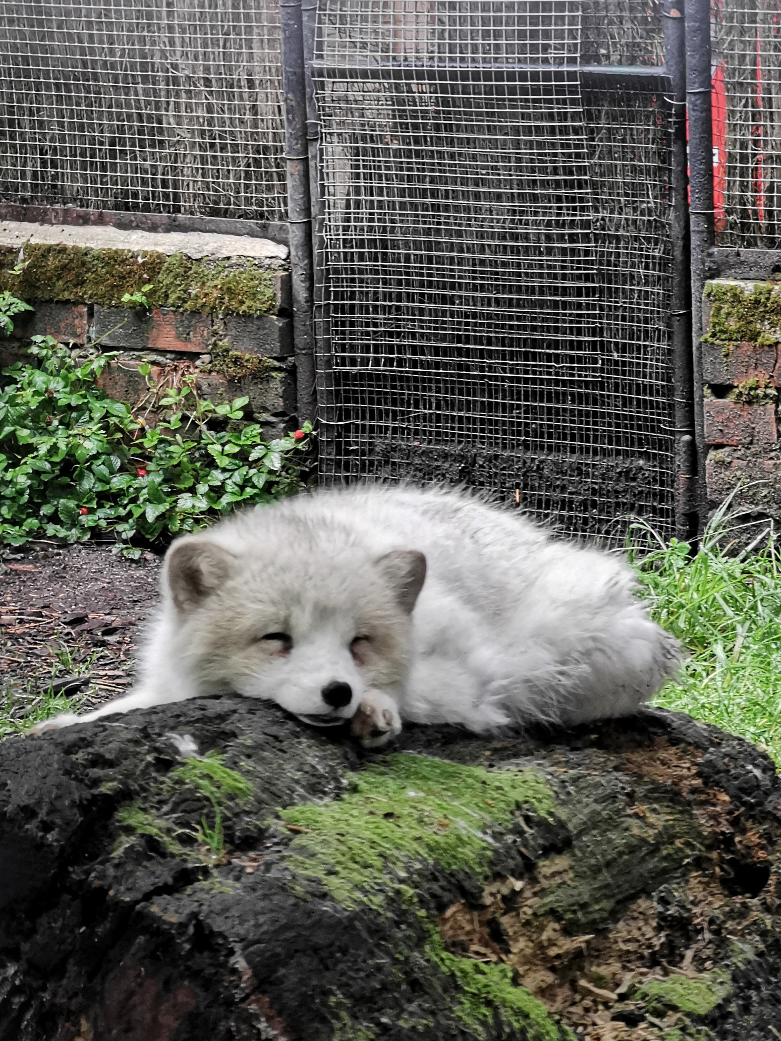 Photo n° 10 de l'avis de Bianca.a fait le 05/06/2022 à 15:50