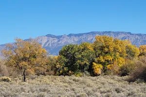 Coors Bosque Trails image