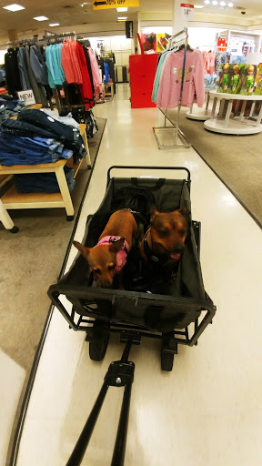 Department Store «JCPenney», reviews and photos, 303 301 Blvd W #701, Bradenton, FL 34205, USA