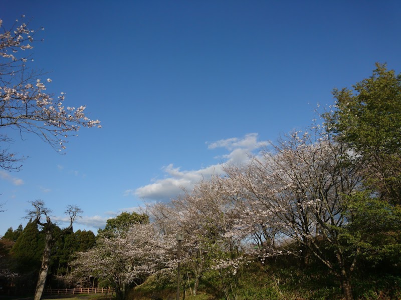 宝塔山公園