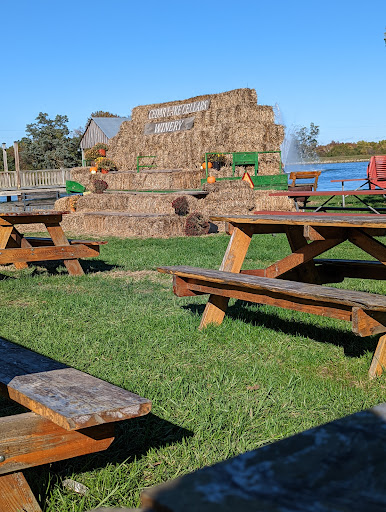 Winery «Cedar Lake Cellars», reviews and photos, 11008 Schreckengast Rd, Wright City, MO 63390, USA