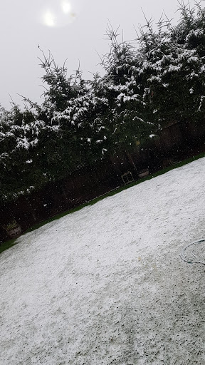 Manufacturer «Celestron Llc», reviews and photos, 2835 Columbia St, Torrance, CA 90503, USA