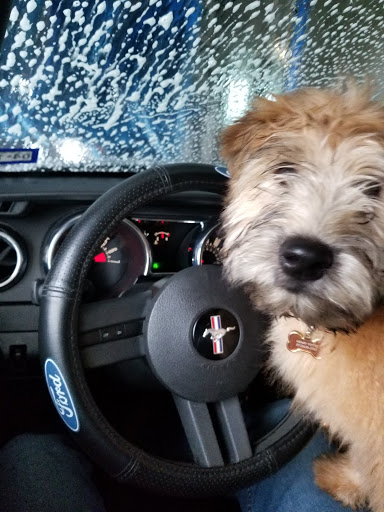 Car Wash «Go Wash II», reviews and photos, 3327 Ranch Rd 620 S, Austin, TX 78738, USA