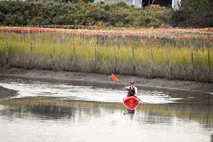 Saw Mill Creek Marsh